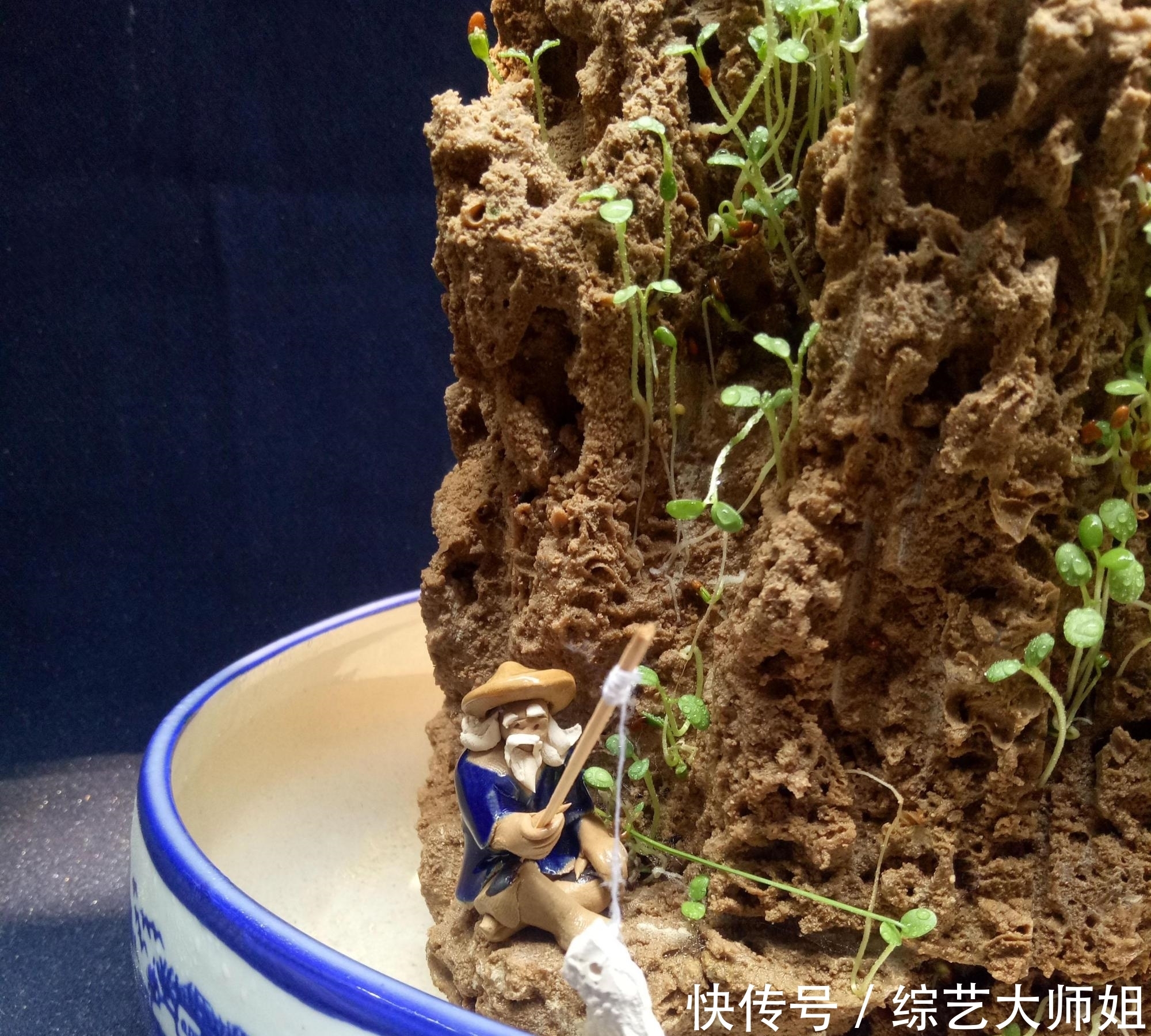 盆景是中国国粹，外国也爱盆景，但是两者的区别在于什么？