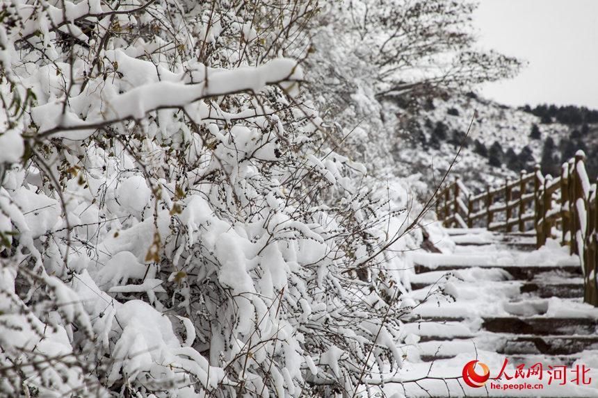 初雪|白雪皑皑银装素裹 河北各地迎来今冬“初雪”