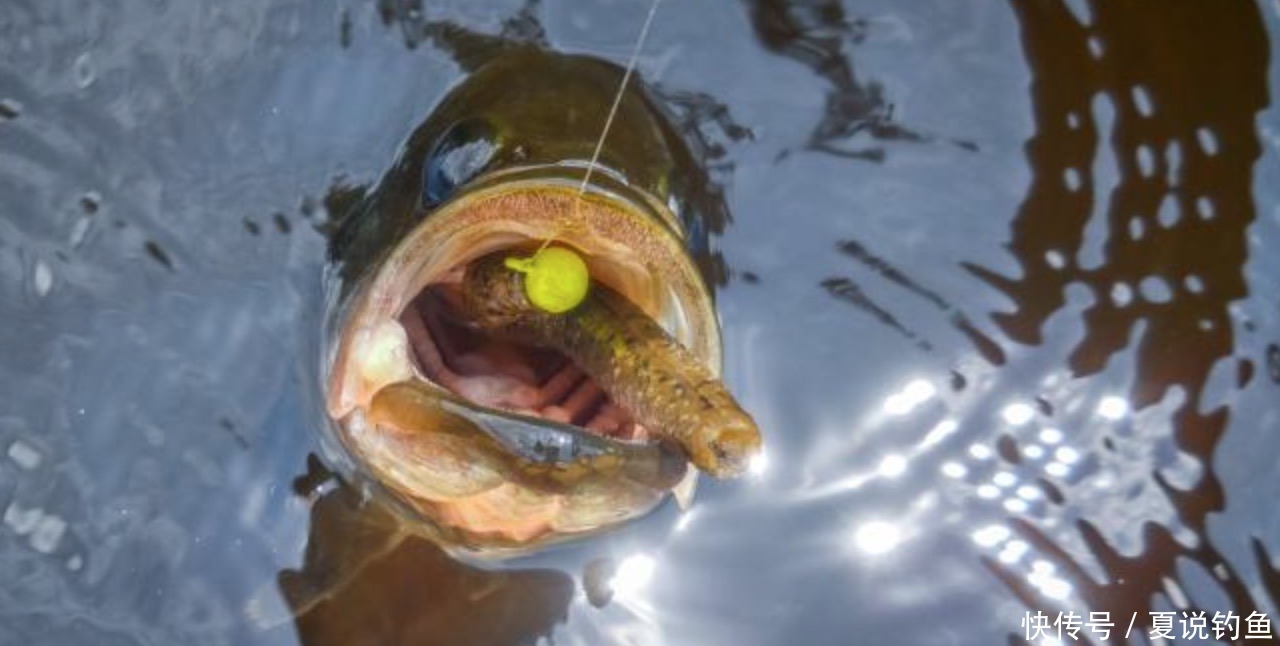 英文|路亚钓超精细钓组-内德钓组介绍-Ned jig