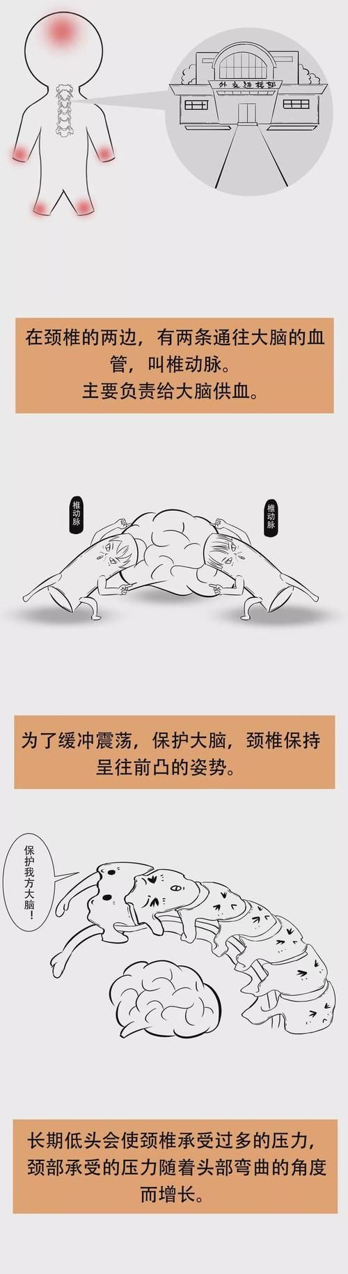 颈部|你的颈椎是怎么坏掉的,附颈椎保健操!