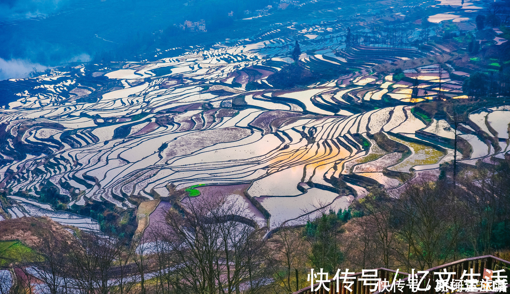 元阳县|中国最大梯田，3700阶梯田像直插云海的天梯，游客：第一次见