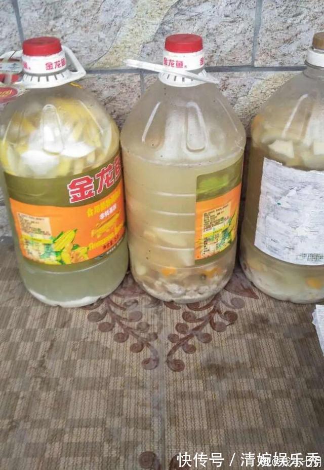 10种“垃圾”不要丢,拿来养花效果好,还能省下一笔钱