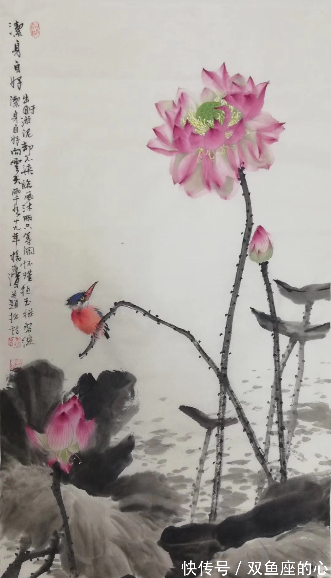 花鸟画|著名花鸟画画家杨海滨作品集赏析