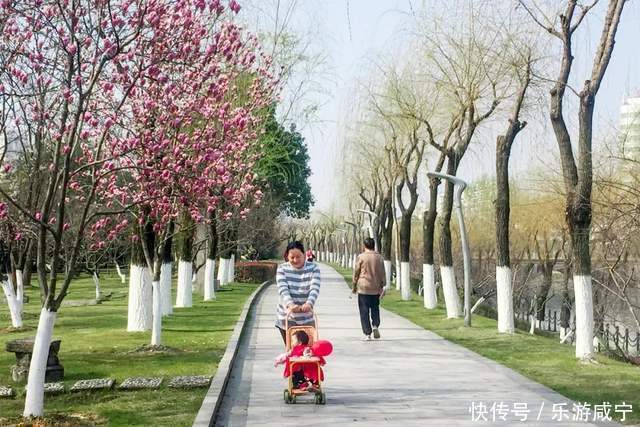 元宵节，带着你的“李焕英”“云”赏花吧！|春暖花开醉咸宁① |元宵节，带着你的“李焕英”“云”赏花吧！\＂,\＂i12\＂:\＂春暖花开醉咸宁①