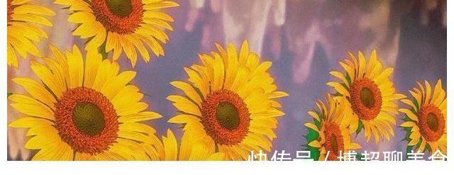 业火|名侦探柯南:业火的向日葵即将在CCTV6播出,为什么偏是这一部