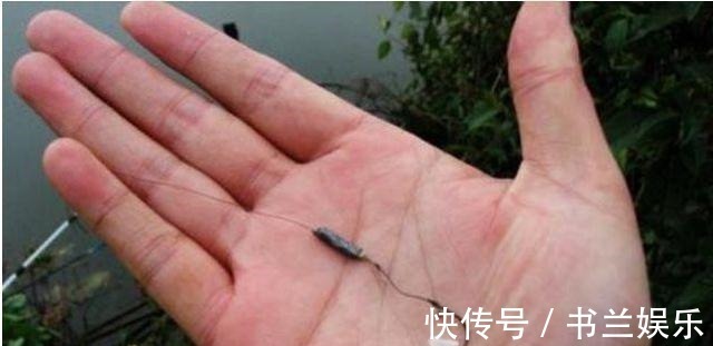 鱼饵|白米饭钓鲫鱼有奇效,尤其是在这个时间段,胜过商品饵!