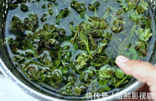 开胃|这种树叶子比嫩香椿还香,吃过的人不多,简单拌一拌,好吃又开胃