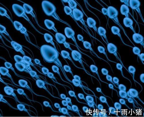 分泌物|男人的“绿色黄金”发现了，不是韭菜，家里常备，前列腺疾病靠边站！