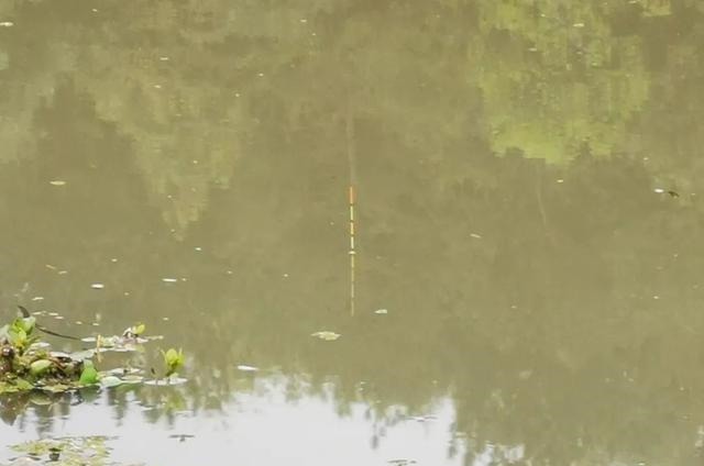 钓鱼中的“黑话”知多少？能听懂10个以上的是老钓手