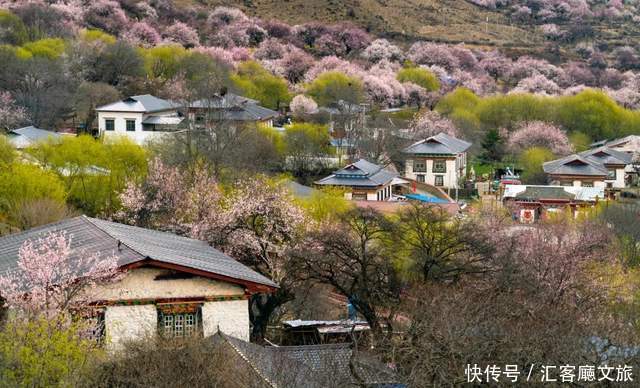 看遍国内花海，唯独林芝桃花、金川梨花，这个3月不容错过！