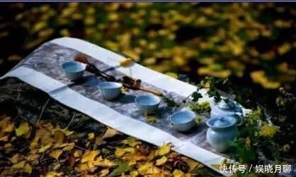 泡一壶茶, 与岁月共老。