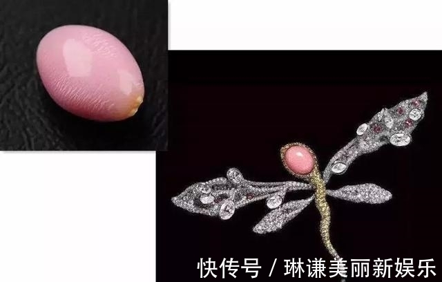 漫游者#一颗珍珠卖上亿,世界上最负盛名的5件珍珠,长什么样?什么价?