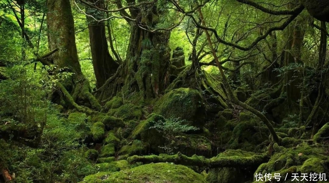 不是所有的风景都在等你，面临消失的八大景点，你想去看看吗？