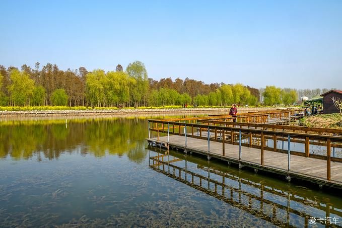 中年|春暖花开游江南-千垛景区水上森林之旅