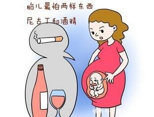 眼睛发育|怀孕后女性如何吃更健康