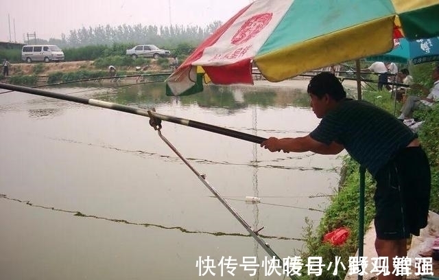 奶鲫|夏天钓鲫鱼学会这几招，轻松避开小鲫鱼，咬钩的全是大板鲫