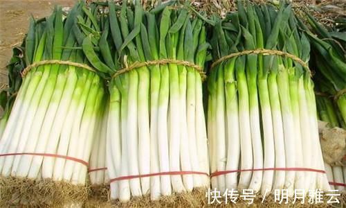 房价|房子和车子已成过去，在未来10年里，这“两样”东西很重要