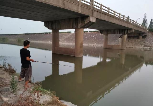 果酸|鱼不开口咋整？打窝、死守都没用，这4招才能快速见效