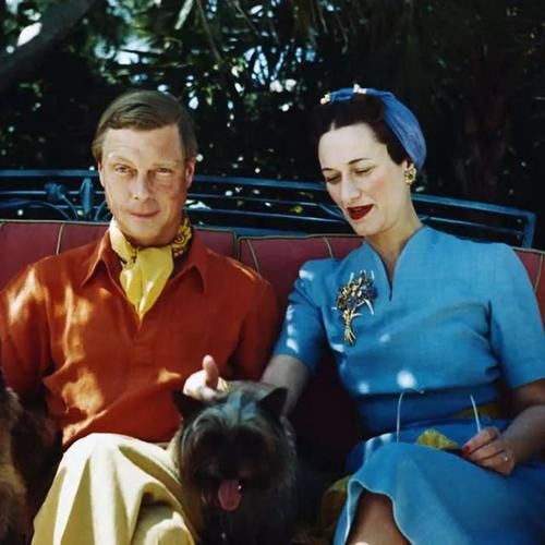 辛普森夫人的珠宝欣赏，这条珍珠项链，形状几乎完美，光泽亮丽