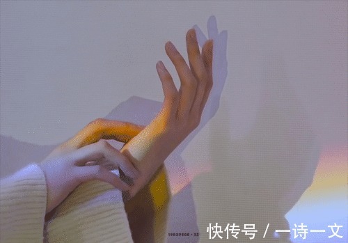 风雨|一草一木,都是人间风雨