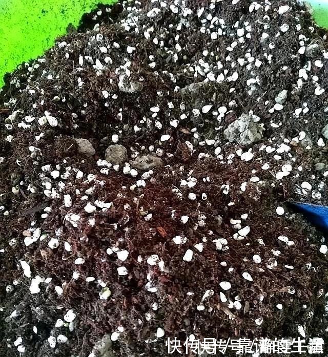 草炭土|养花就要配土,小花匠教你两种配土方法,养花特别棒,保准不烂根!