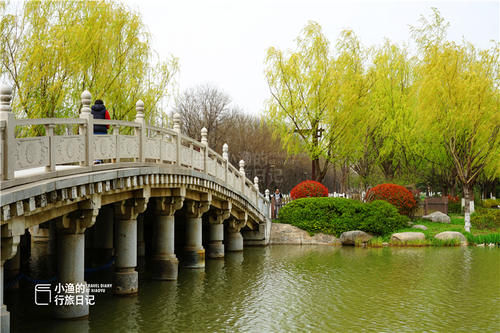 西安春天去哪玩？这里景美环境好，能遛娃能拍照，地铁直达没门票