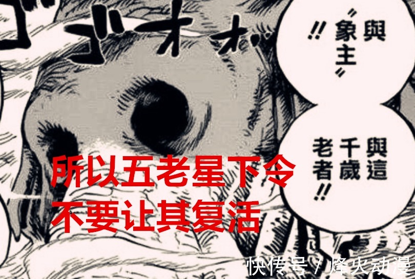 象主|海贼王1040话分析:象主知道创世的真相,乔伊波伊确定是巨人族