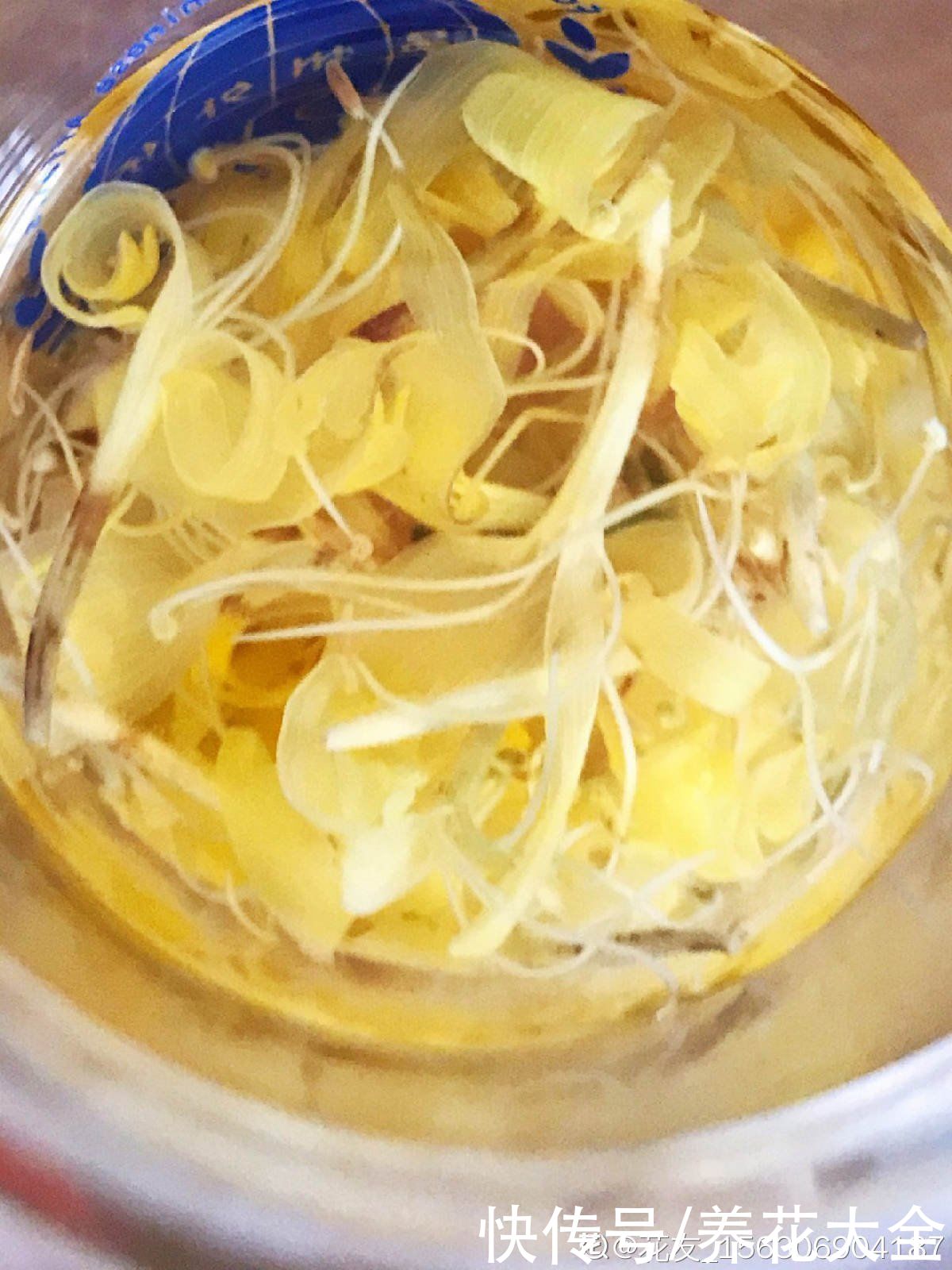 金银花|老中医爱养的4种花,堪称植物“百宝箱”,养人养身心