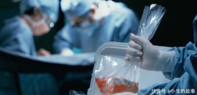 器官|人被割掉一个器官后，为何长不出新的来说出来不可思议