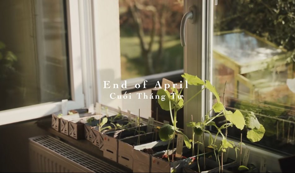 德国主妇将8㎡阳台打造成菜园，不花一分钱种够全家吃的菜