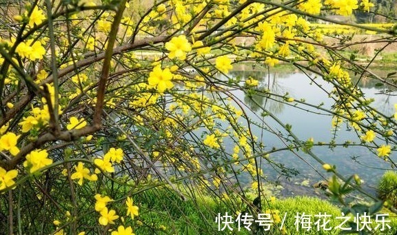 |开心笑话：离老子远点，老子是有家室的人