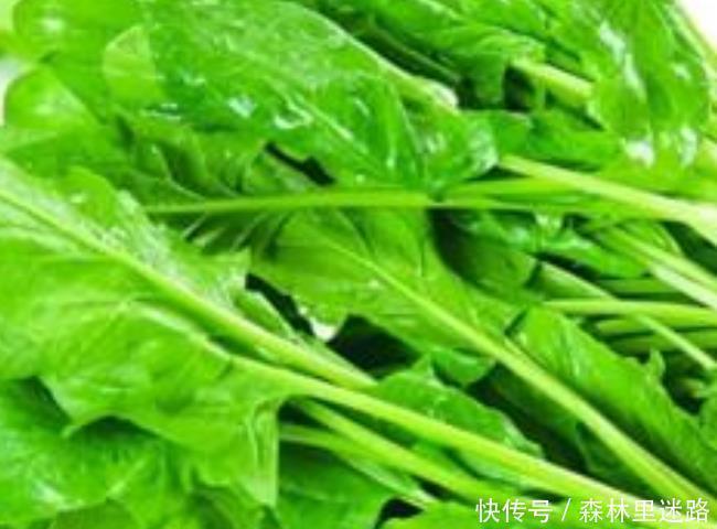 身体|世界上最有营养的4大蔬菜,爱吃一种就赚了,身体更健康