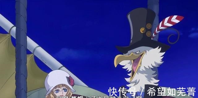 乌鸦|对于《海贼王》中出现的海鸥你怎么看