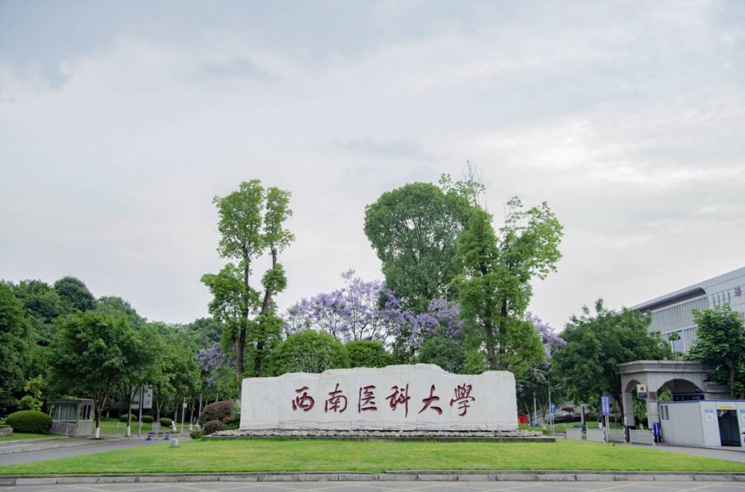 大楼|泸州携手西南医科大学 共建区域医药健康中心