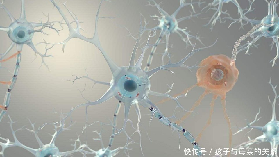 老年痴呆症|权威老年痴呆测试图上有多少只老鹰全部找到的大脑没毛病