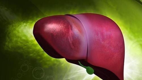 肝脏|吃一口等于8斤胡萝卜,呼吁:这一护肝“卫士”可常吃,肝脏或会感激不尽