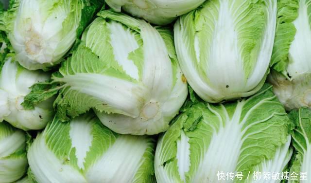 保存白菜的方法|白菜好吃容易坏,教你3个方法,白菜久放不烂不发黑,新鲜好吃