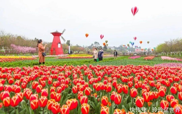 中年|重庆春游最佳的旅游打卡地，拥有多种花卉，还是4A级旅游景区