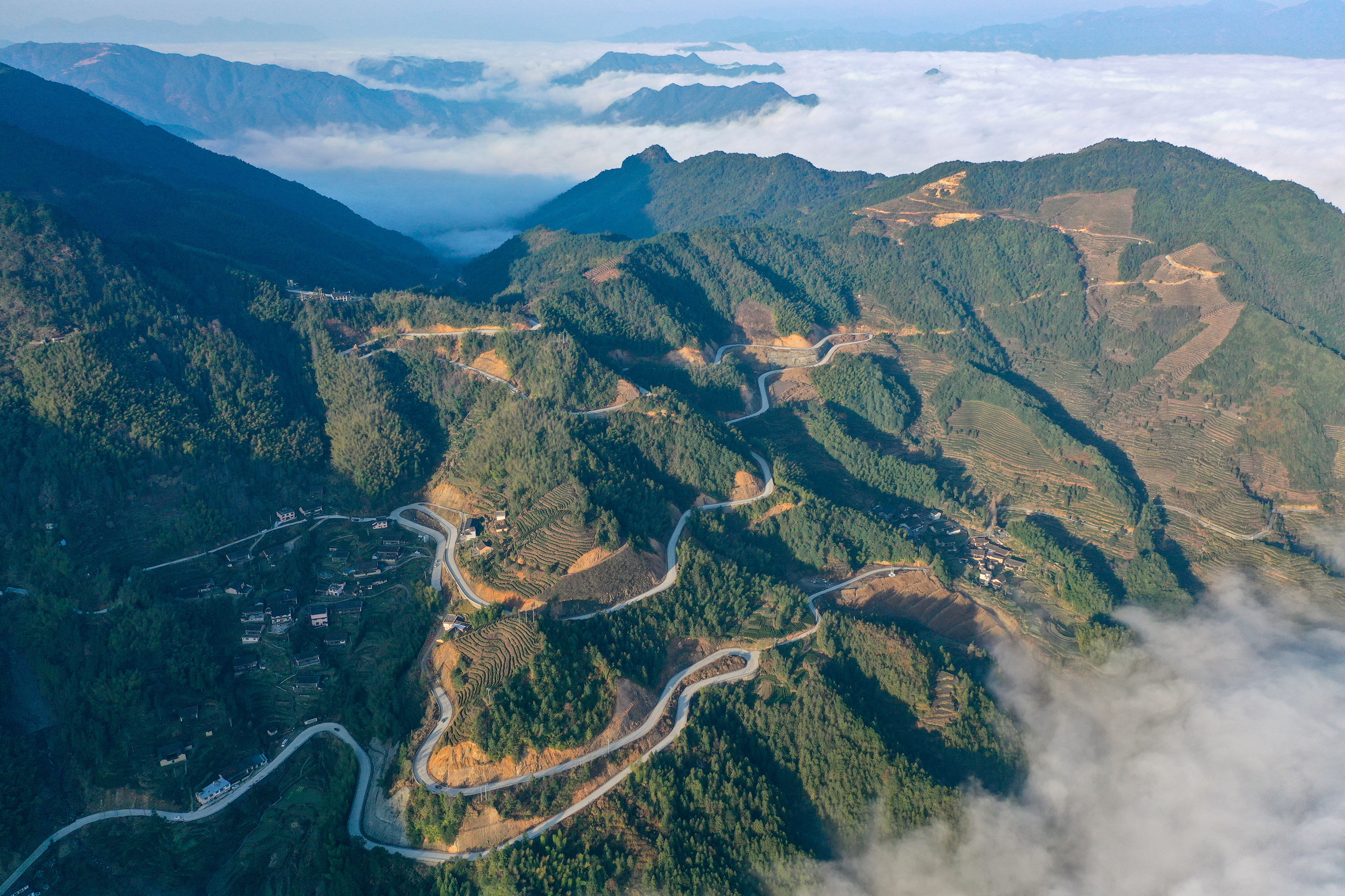 大年|景宁：网红公路兴畲寨