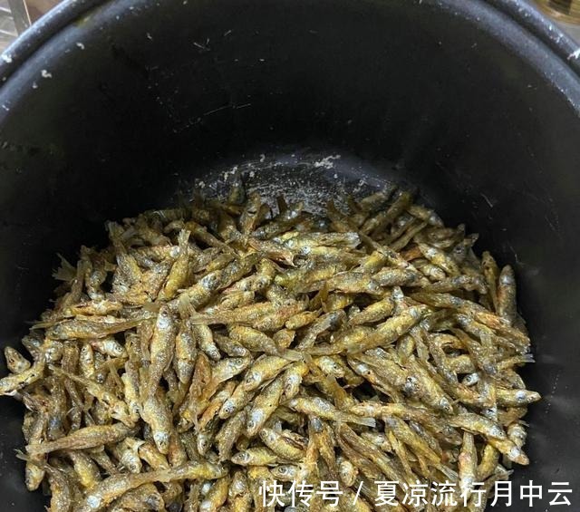 江西一水库麦穗鱼成灾,当地老乡一天能搞上千条,杀鱼杀到崩溃!