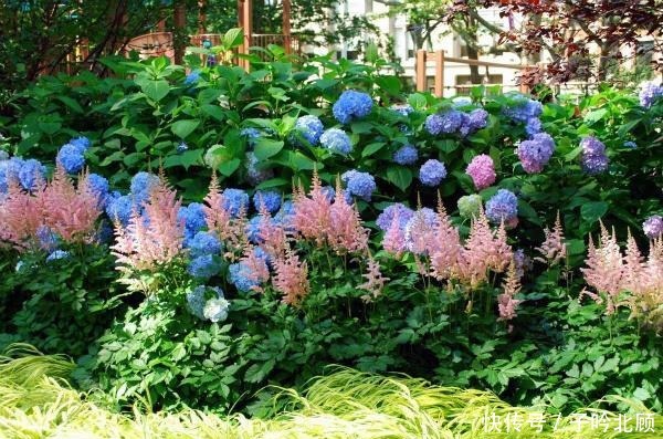 养花有3个“讲究”,执行到位,家里院子和露台“美如仙境”!