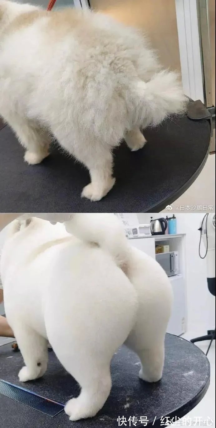 |搞笑趣图:犯错被抓到不仅要处罚,还得拍这种照多尴尬