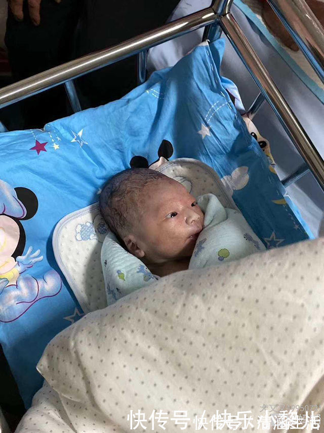 绒毛|宝妈吐槽自己生了一颗“猕猴桃”,晒出宝宝照片后,网友恍然大悟