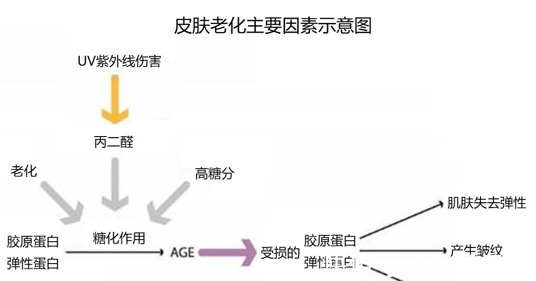 化妆品 如何有效抗衰老,高价护肤品有效吗?科学家解析保持青春秘诀