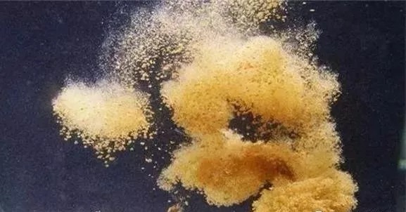 冬钓鲫鱼,牢记3钓、3不钓,精准找鱼,从不走空