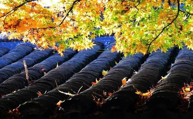  写给|李白少见写给妻子的唐诗，如同家常唠嗑一般，平淡中见真情