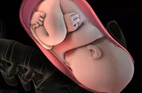 小子宫|产房分娩的过程是啥?实拍图还原顺产过程,看完明白为母则刚