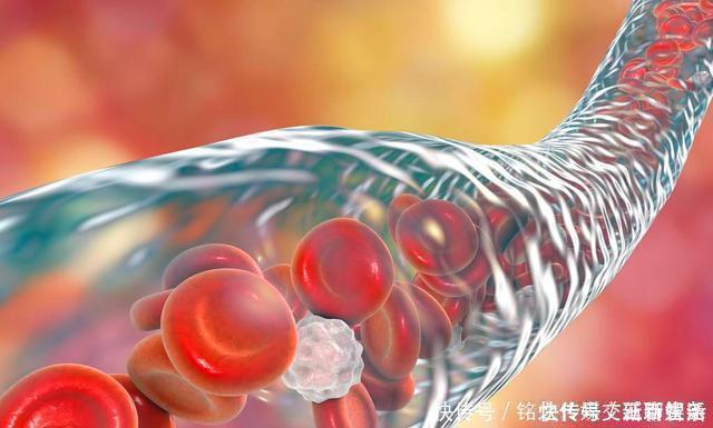 红枣|枸杞的“最佳搭档”已找到，若能坚持喝，湿气消了，给肝肾大扫除