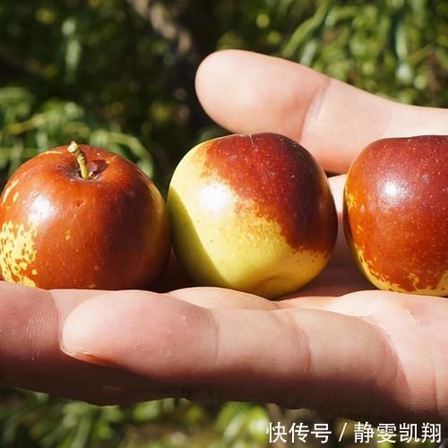 糖尿病|这5种水果一点都不甜,但含糖量数一数二,糖尿病患者要当心