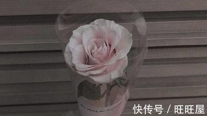 情绪|管理好自己的情绪,就是最好的养生